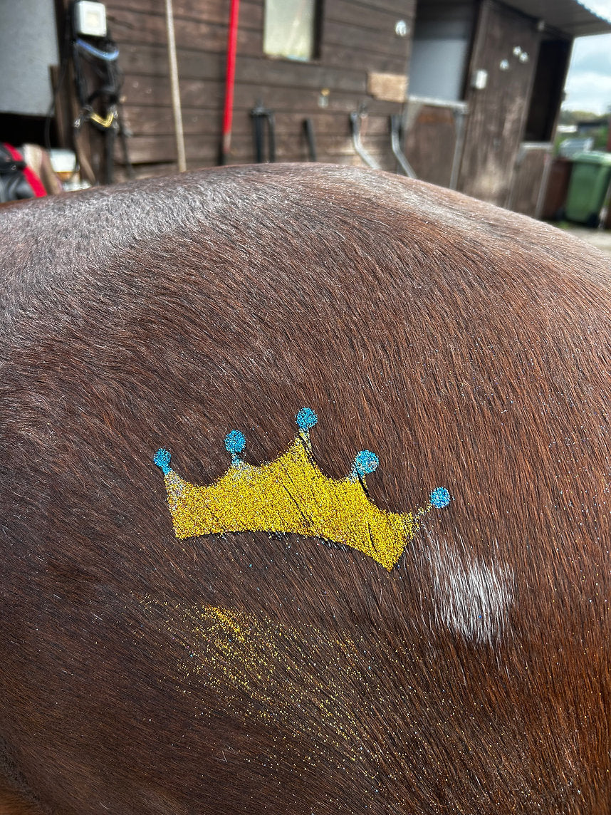 sparkle star pony stencils