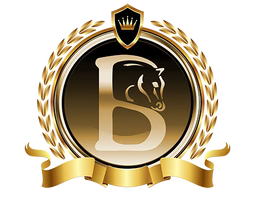 TEAM BLOOMFIELD