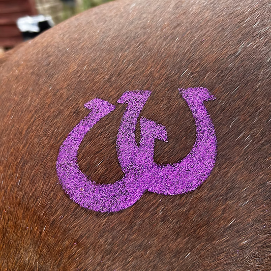 sparkle star pony stencils